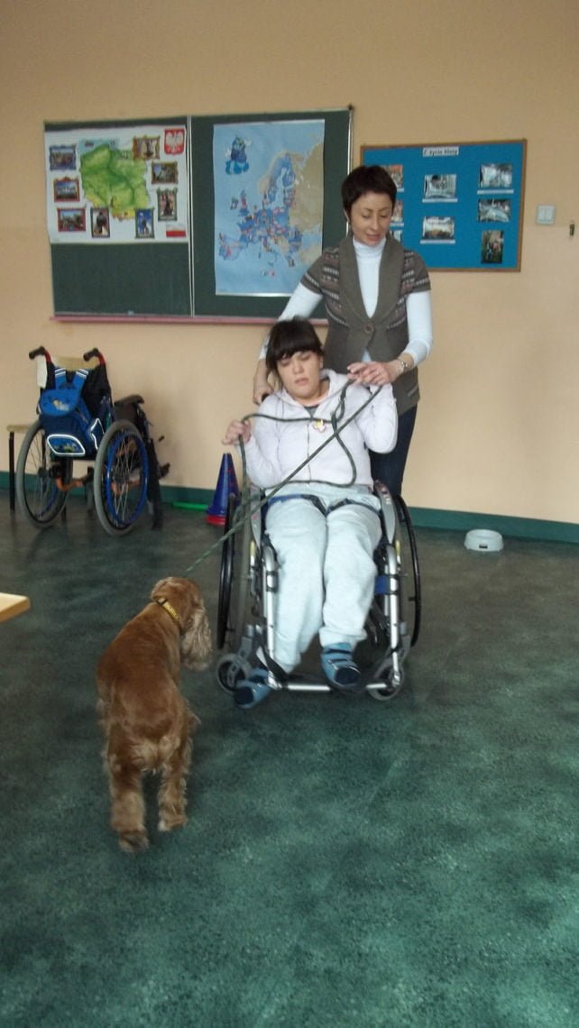 Zajecia warszatowe z dogoterapii 35
