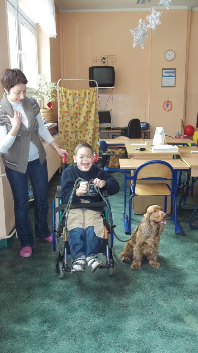 Zajecia warszatowe z dogoterapii 36