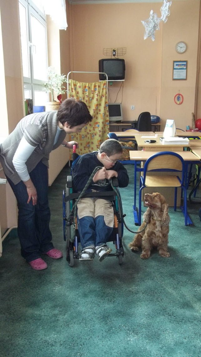 Zajecia warszatowe z dogoterapii 37