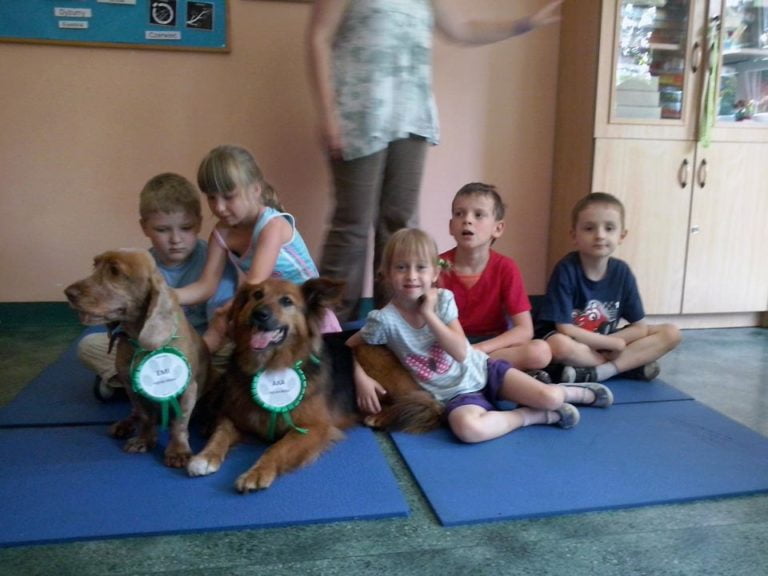 Zakonczenie dogoterapii 10