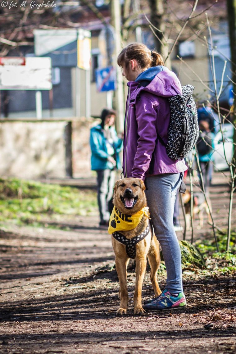 DOGTREKING z Wild Dogs Team 48