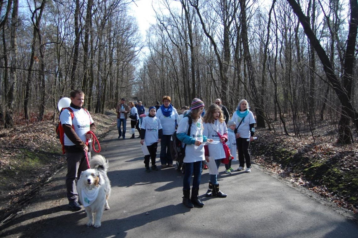 Niebieski dogtrekking uczniowie15