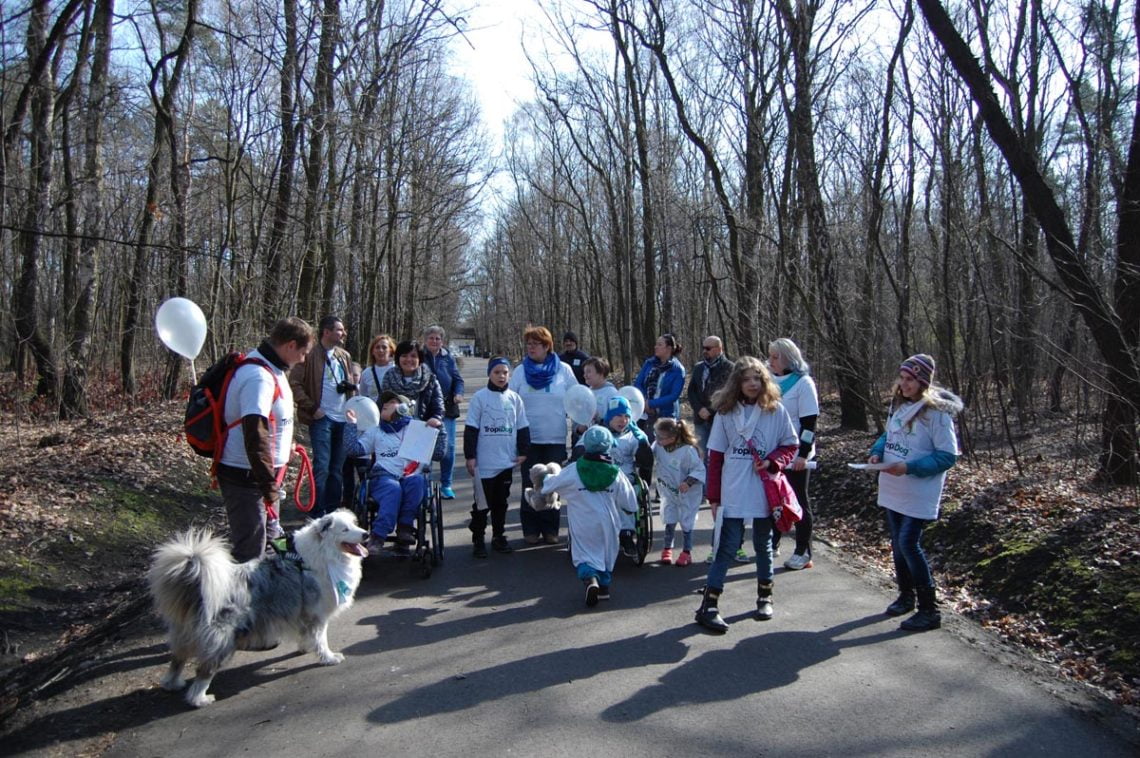 Niebieski dogtrekking uczniowie16