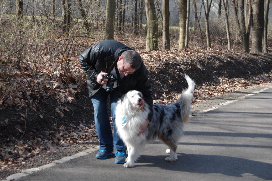 Niebieski dogtrekking uczniowie34