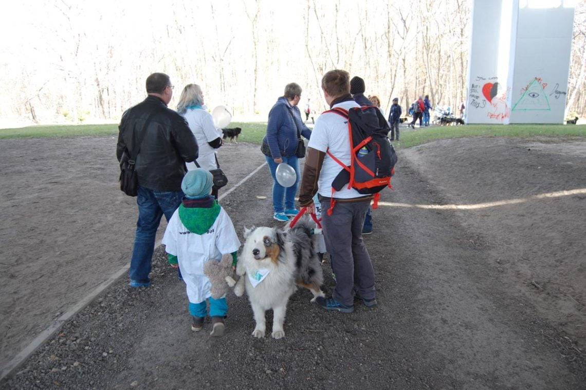 Niebieski dogtrekking uczniowie38