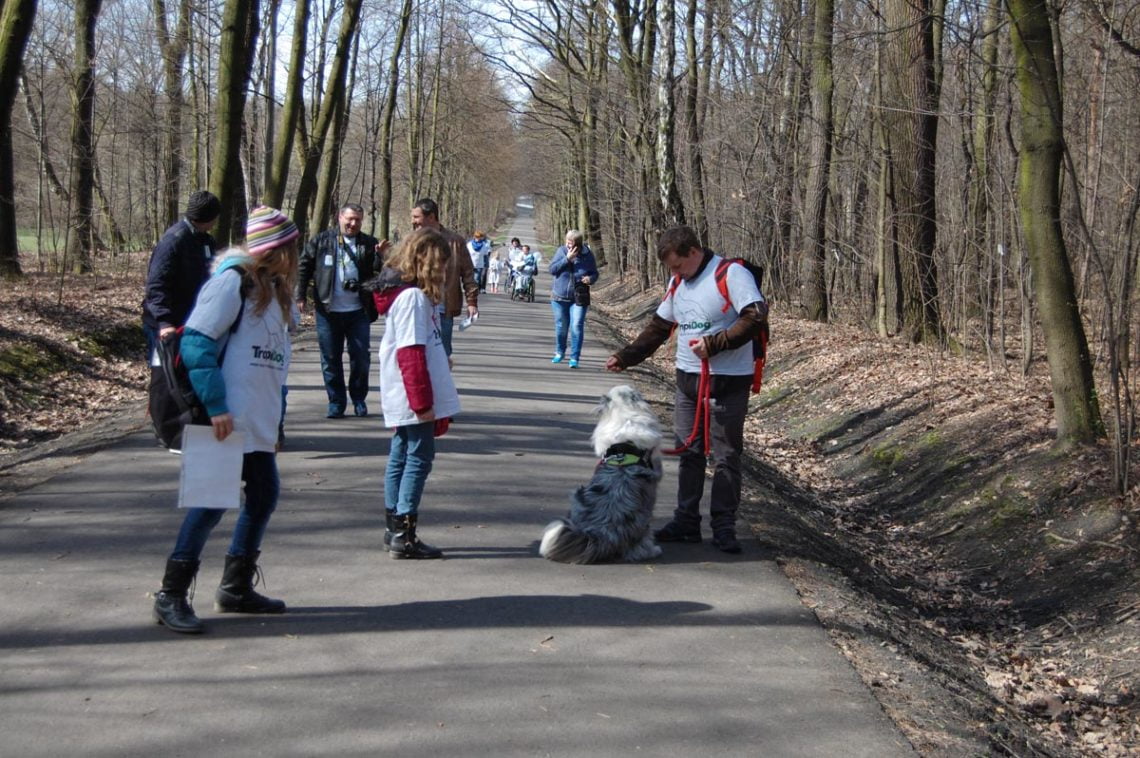 Niebieski dogtrekking uczniowie70