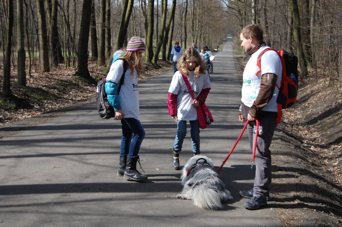 Niebieski dogtrekking uczniowie73