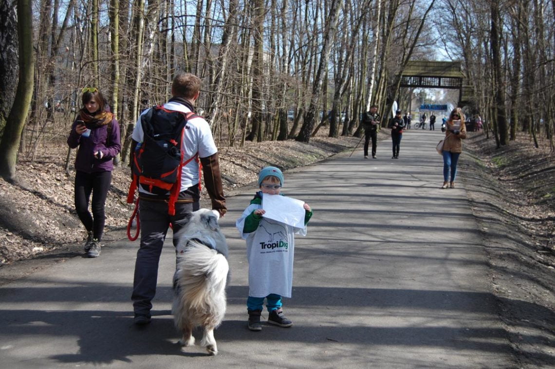 Niebieski dogtrekking uczniowie79