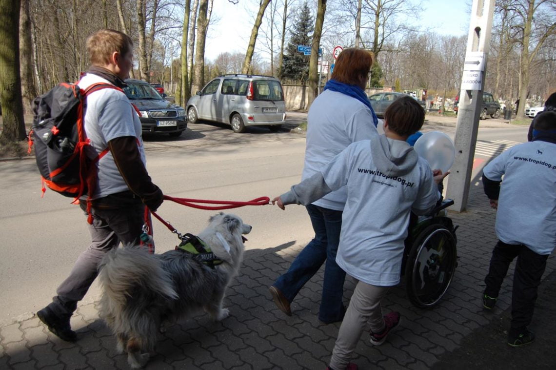 Niebieski dogtrekking uczniowie85