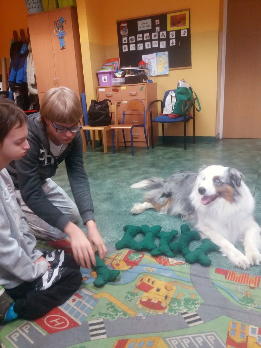Dogoterapia z Muffinem 12