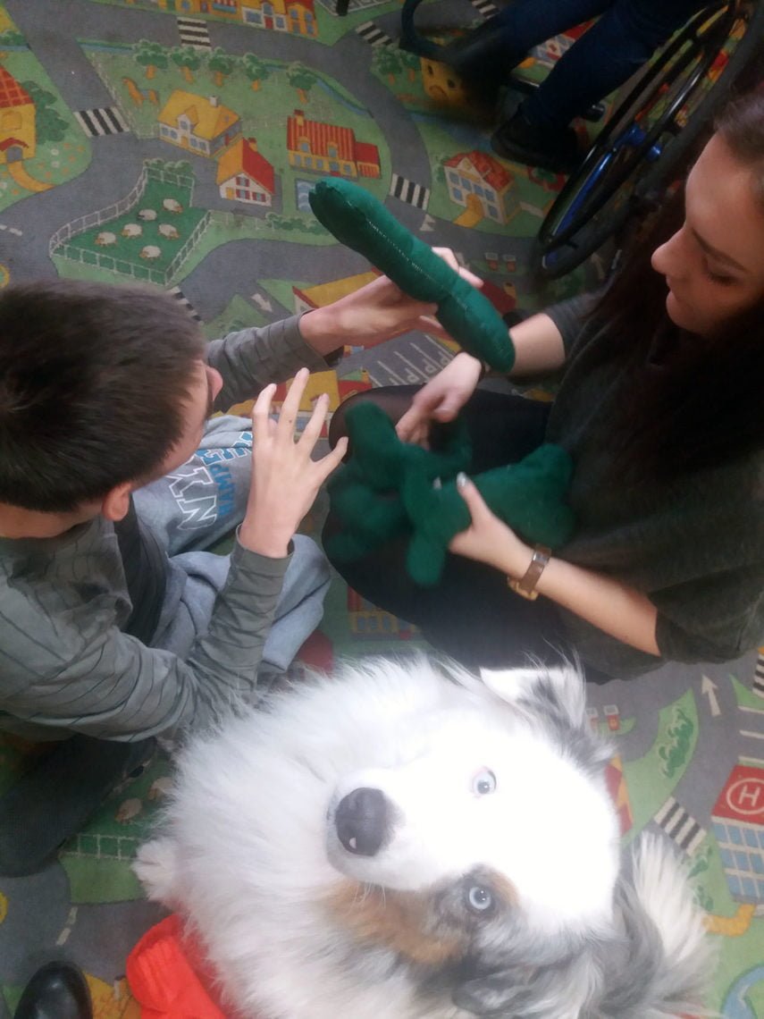 Dogoterapia z Muffinem 14
