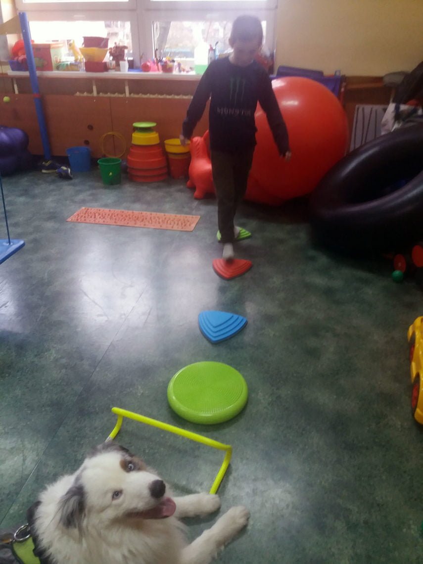 Dogoterapia z Muffinem 17