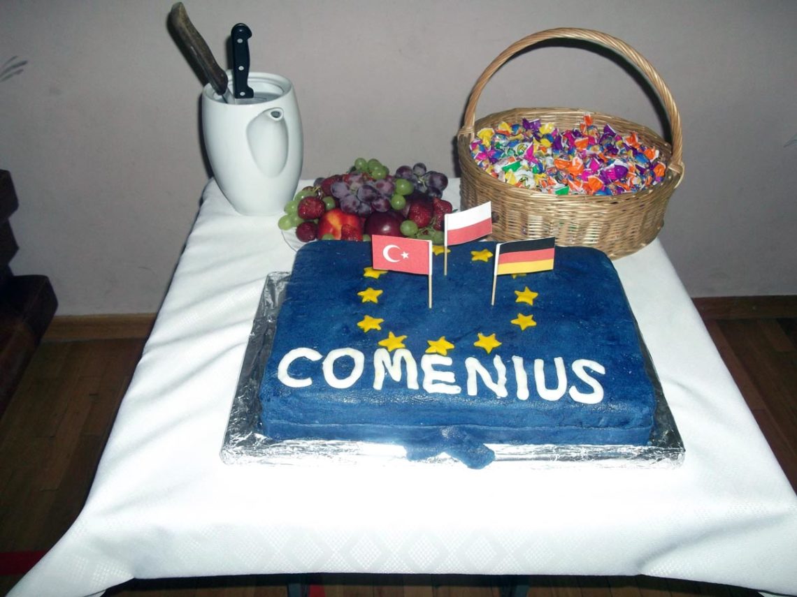 Podsumowanie projektu Comenius 30