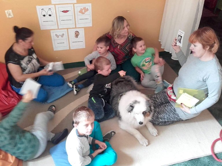 Dogoterapia z Muffinem 32