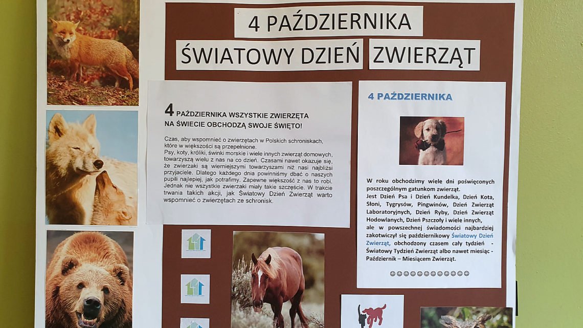 Dzień Zwierząt