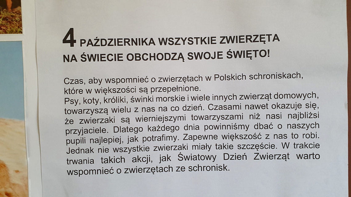 Dzień Zwierząt