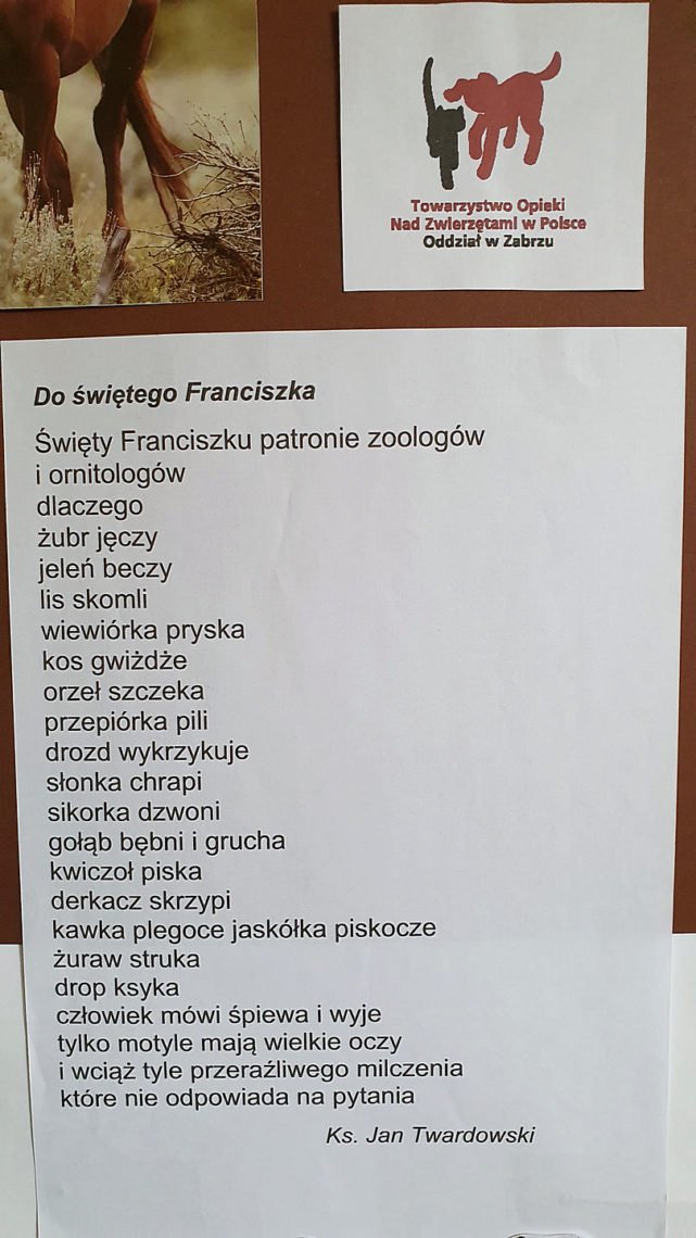 Dzień Zwierząt