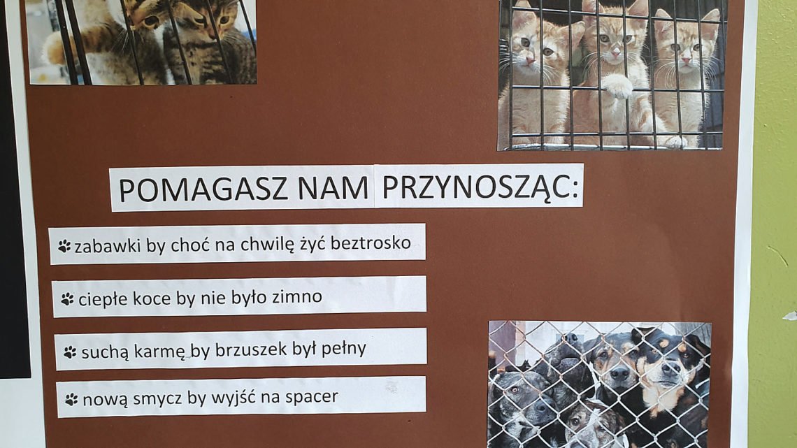 Dzień Zwierząt