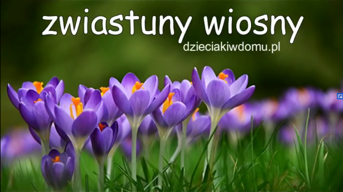 Zwiastuny wiosny