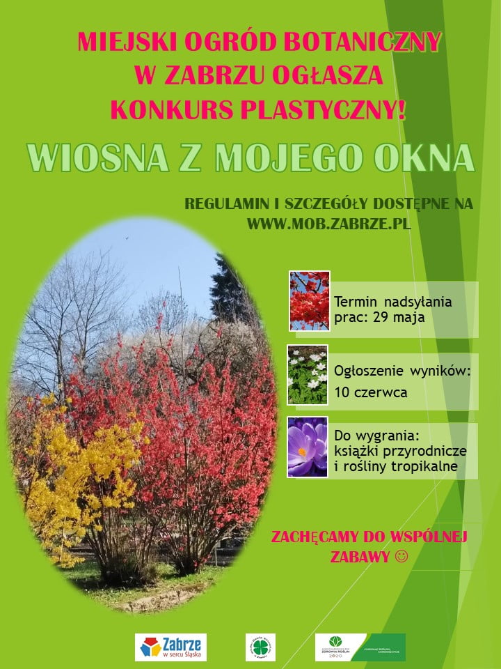Konkurs - Wiosna z mojego okna