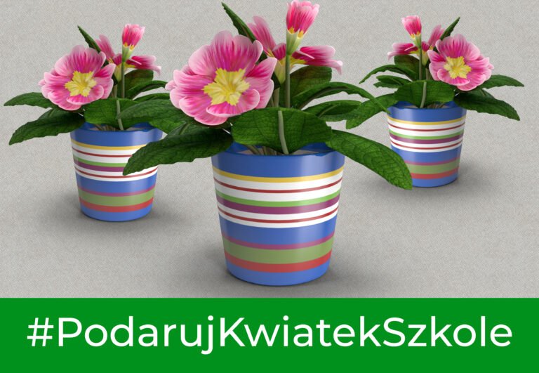 Podaruj Kwiatek Szkole