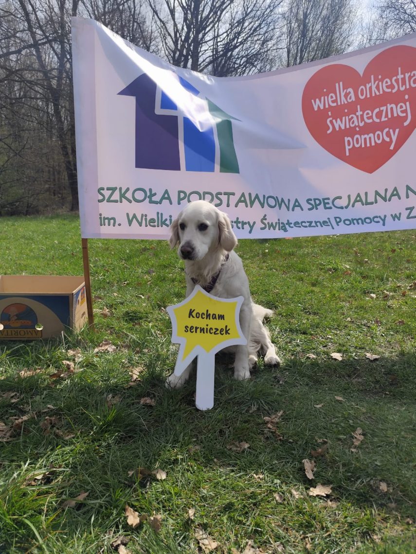 III Charytatywny Bieg dla Autyzmu w Zabrzu, zdjęcie 12 z 100