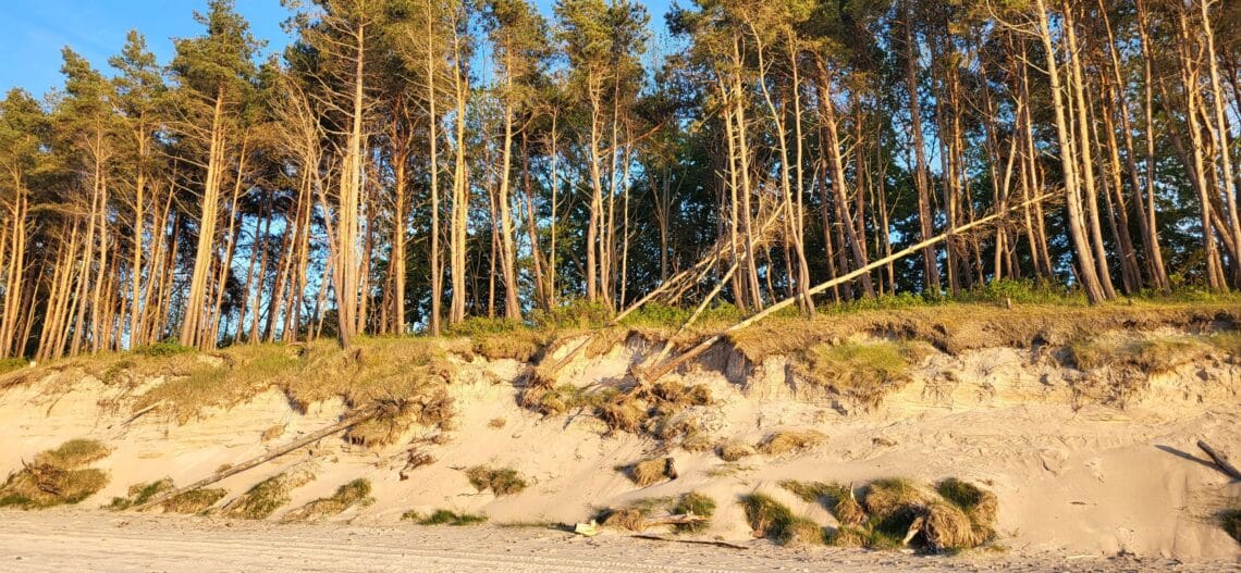 Turnus rehabilitacyjny w Sarbinowie – maj 2025