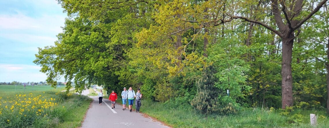 Turnus rehabilitacyjny w Sarbinowie – maj 2025
